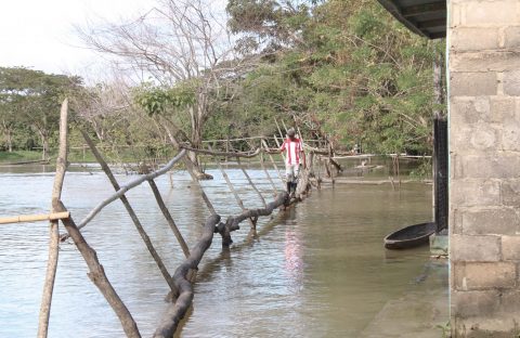 Los habitantes de la vereda Nuevo Playón improvisan pasos peatonales en medio de las inundaciones